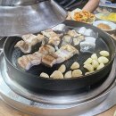 부산에서 장어 벙개 칩니다 이미지