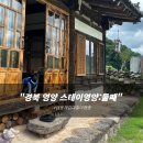 경북 영양 스테이영양 둘째 강아지 한복 준비 필수! 견생샷 가능한 한옥 애견 동반 숙소