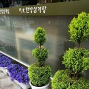 만안구청 이미지