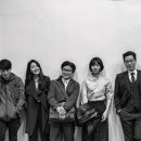 비밀의숲 이미지