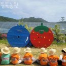 듬뿍농원 네이버블로그