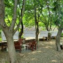 리틀포레 이미지