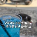 그앞에cafe | [일본 기타큐슈] 고양이섬 아이노시마의 유일한 카페 'kana cafe' 솔직 후기
