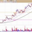 세림전자시스템