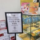 논산역 | 논산역 맛집 봉봉, 과일 폭탄 생과일요거트 먹고 과친자의 솔직후기