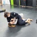 대일체육관 네이버블로그