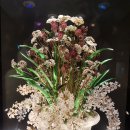 보석이네 이미지