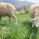 한옥목장 이미지