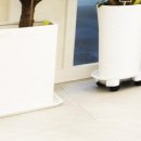 더편한플란트치과의원 이미지