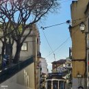 [포르투갈/리스본] 도둑시장 산타클라라 마켓 가는방법 영업요일 쇼핑후기