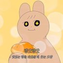 콜드스톤 청량리역사점 | [청량리 맛집] 마호가니 청량리역사점 | 베이커리 카페 | 청량리역 안에서 빵 먹기 좋은 곳 | 빵은...