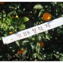 서로도울농장 이미지