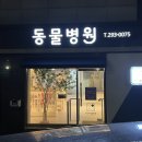 우리애동물병원 이미지