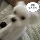 24년 1월 2주차 정산 (24.01.08-14.)