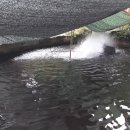 무지개송어횟집 이미지