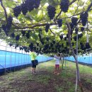 심원농장 이미지