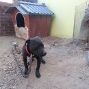 (주)정안 이미지