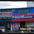 산타나포차