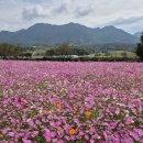 가조모텔 이미지