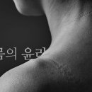 코끼리들이 웃는다 이미지