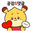 갈라파꼬치 이미지