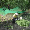 영흥농장 이미지