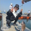병기호좌대낚시터 | 필요할 때 바로 찾게 되는 시아호좌대 낚시 당진 좌대낚시터