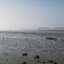 밀물민박 이미지