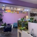 빽살롱뷰티 이미지