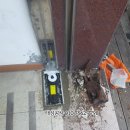 함양약국 이미지