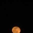 한잔해 야식포차 이미지