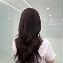 현진메디칼 | 강동역 새로오픈한 미용실 리무브헤어 오픈이벤트로 레이어드빌드펌 20%할인받은 후기