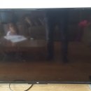 강정동-40 이미지