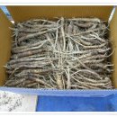 종근농장 이미지