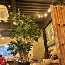 석산프라자 | 목포주민과 함께하는 카페추천zip (커피창고로,무가보,석산)