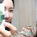 세이네이처 이미지