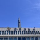 따사로이