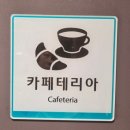 제주도 배편 차량선적 순서 및 출차 후기｜오션비스타 스탠다드룸 가족(5살,8살)여행 총정리
