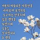 4월1일날 생긴일 이미지