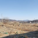 강화남부농협 불은지점 이미지