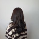 수정카클리닉 이미지