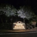 국군수도병원입구 | 서귀포호텔 국군복지단 조식 한라정식당 운영시간