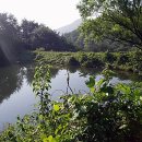 동암천 네이버블로그