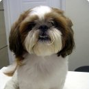 중동에스티마오피스텔 이미지