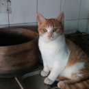 어쭈
