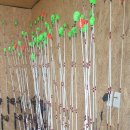 숲속애바다실내낚시터 이미지