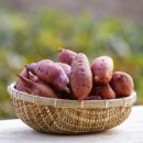 남궁농원 이미지