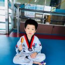 이은우태권도장 이미지