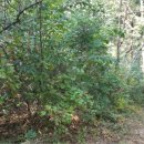 두산2리경로당 이미지