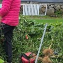 근정농장 이미지